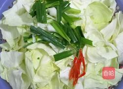 醋溜手撕包菜的做法图解2