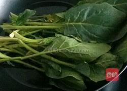 浇汁菠菜的做法图解9