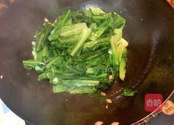 蒜香油麦菜的做法图解4