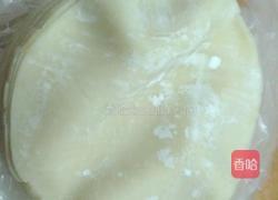 冬菜马蹄猪肉饺的做法图解4