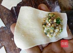 白菜猪肉馄饨的做法图解6