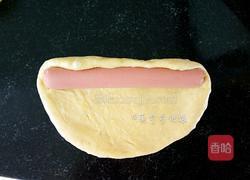 火腿肠肉松面包的做法图解8