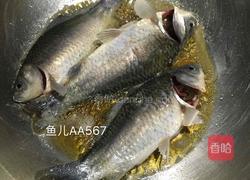 鲫鱼炖冻豆腐的做法图解2