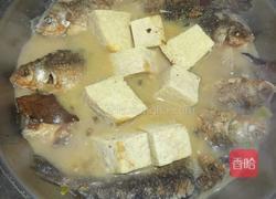 鲫鱼炖冻豆腐的做法图解7