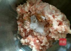 平菇猪肉馄饨的做法图解4