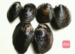 河蚌腊肉豆腐汤的做法图解1