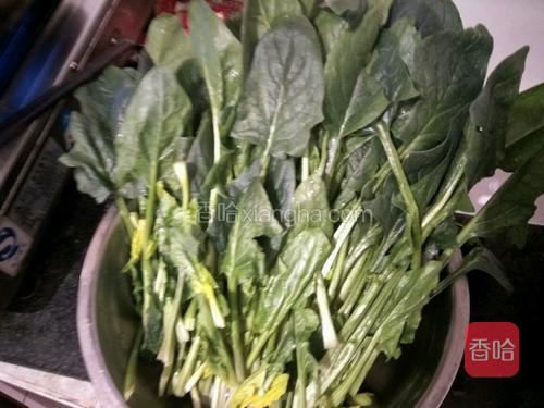 菠菜摘去黄叶和不好的放盆里洗干净