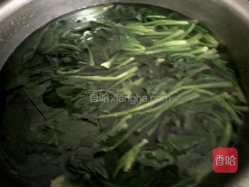 捞出放入凉水中浸泡