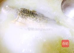 筒骨鲫鱼豆腐汤的做法图解8