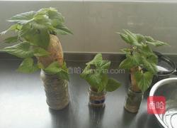 香葱红薯叶鸡蛋饼的做法图解1