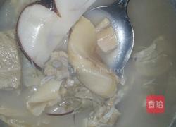花胶瑶柱海底椰排骨汤的做法图解4