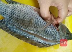清蒸罗非鱼的做法图解4