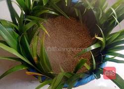 家庭版自制豆豉的做法图解8