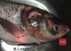 红烧胖头鱼的做法图解1