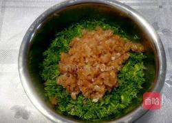 紫色茴香猪肉包的做法图解5