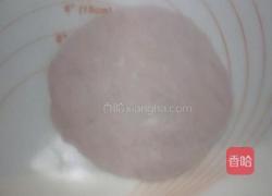 紫色茴香猪肉包的做法图解7