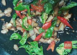 辣椒大蒜炒腊鸡胸的做法图解6