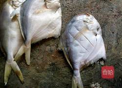 黄豆酱蒸鲳鱼的做法图解2