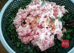 Illustration of how to make shepherd’s purse and meat buns 12