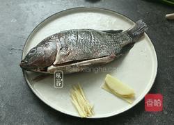 红烧鱼的做法图解2