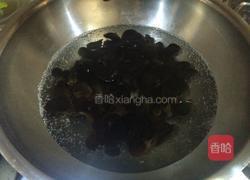 捞汁木耳的做法图解10