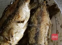 鲫鱼炖萝卜丝的做法图解1