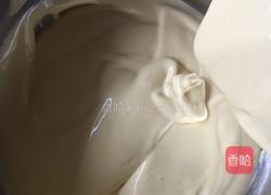 大理石纹戚风蛋糕的做法图解11