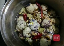 五香黄豆酱鹌鹑蛋的做法图解5