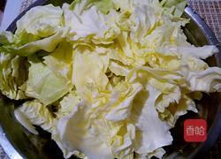 蚝油手撕包菜的做法图解1