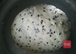 香酥麻叶的做法图解1