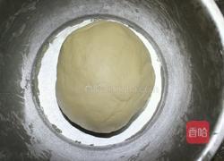 蜂蜜小餐包的做法图解5