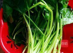 虾皮鸡蛋炒菠菜的做法图解2