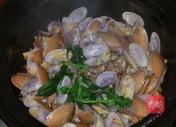 砂锅花甲的做法图解7