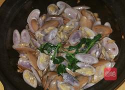 砂锅花甲的做法图解8