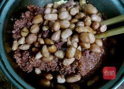 米粉蒸肉的做法图解5