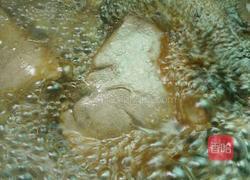 卤猪肝的做法图解7