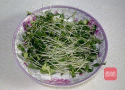 香椿苗鸡蛋饼的做法图解1