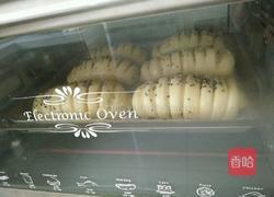 肉松面包的做法图解10