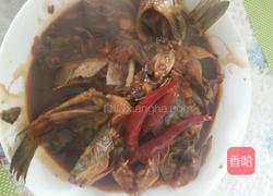 酱炖黄辣丁的做法图解5