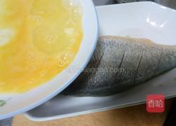 烧黄鱼的做法图解4