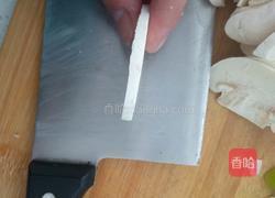炒白菇的做法图解3