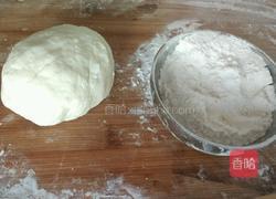 小白菜猪肉水饺的做法图解3