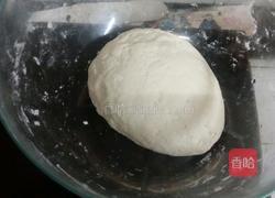 酸菜馅饺子的做法图解4