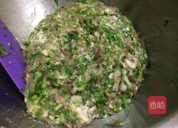 小白菜猪肉饺子的做法图解17