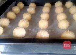 黄金椰蓉球的做法图解15