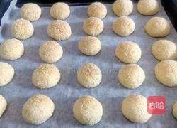 黄金椰蓉球的做法图解16