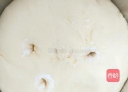 蜂蜜牛奶小餐包的做法图解9