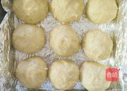 蜂蜜牛奶小餐包的做法图解10