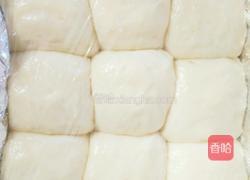 蜂蜜牛奶小餐包的做法图解11