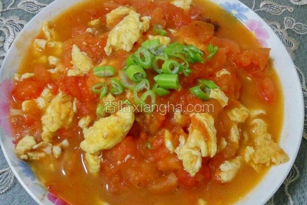 西红柿炒蛋